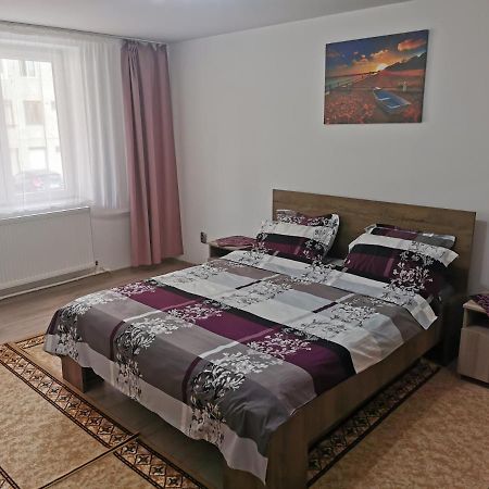 Ferienwohnung Apartament Bucovina Câmpulung Moldovenesc Exterior foto