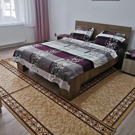Ferienwohnung Apartament Bucovina Câmpulung Moldovenesc Exterior foto