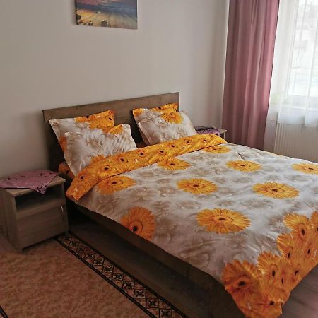 Ferienwohnung Apartament Bucovina Câmpulung Moldovenesc Exterior foto