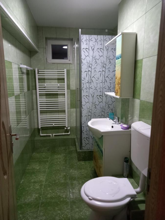 Ferienwohnung Apartament Bucovina Câmpulung Moldovenesc Exterior foto