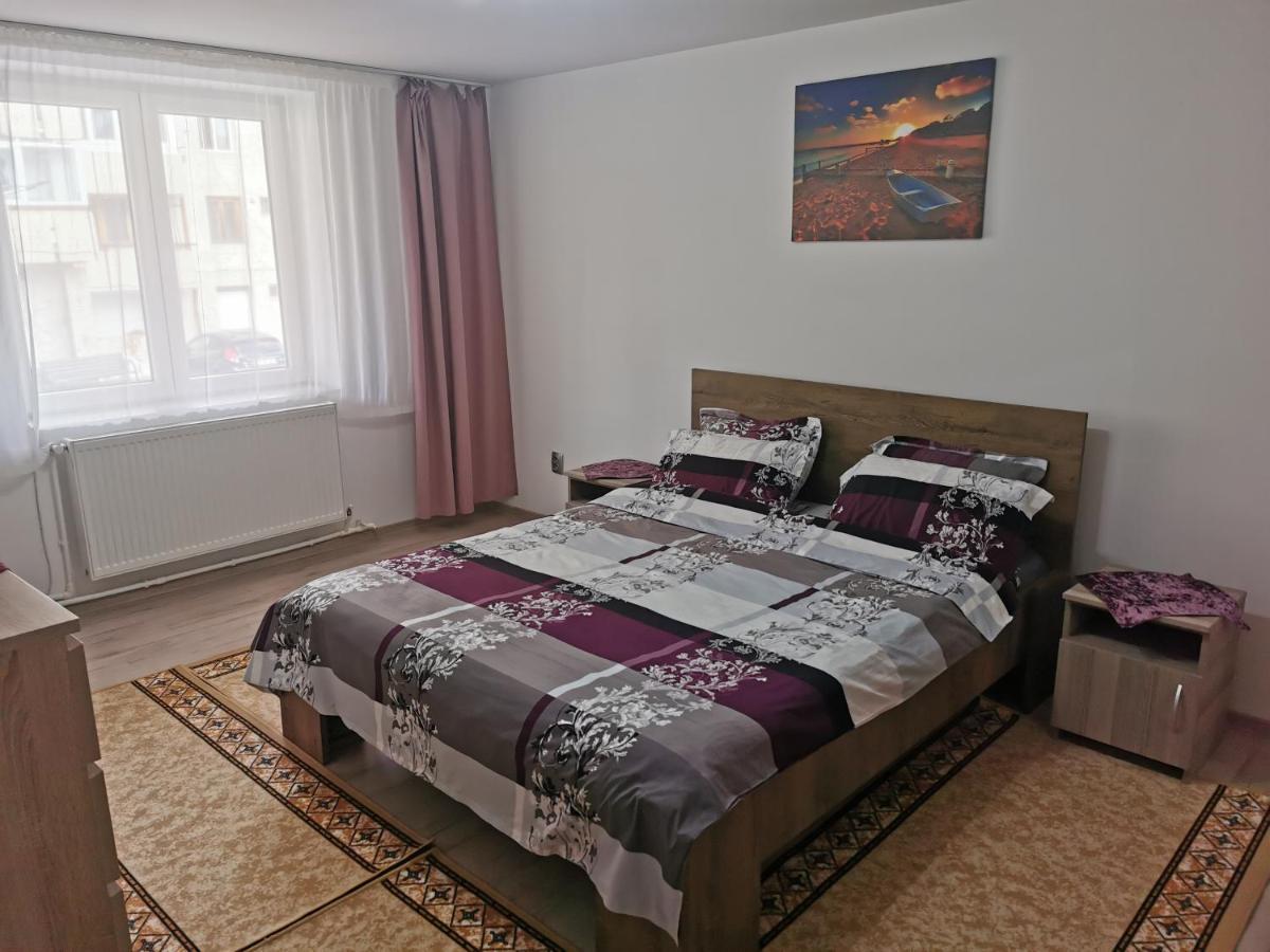Ferienwohnung Apartament Bucovina Câmpulung Moldovenesc Exterior foto
