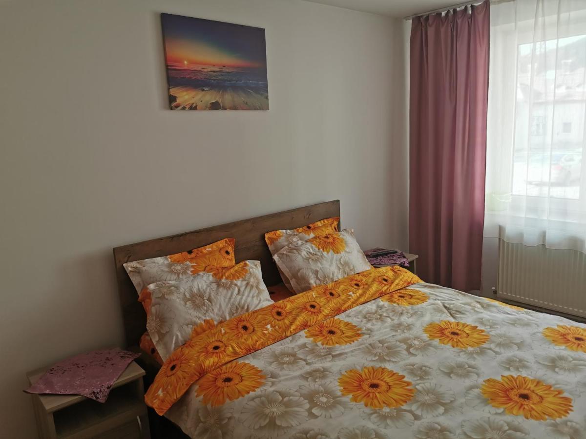 Ferienwohnung Apartament Bucovina Câmpulung Moldovenesc Exterior foto