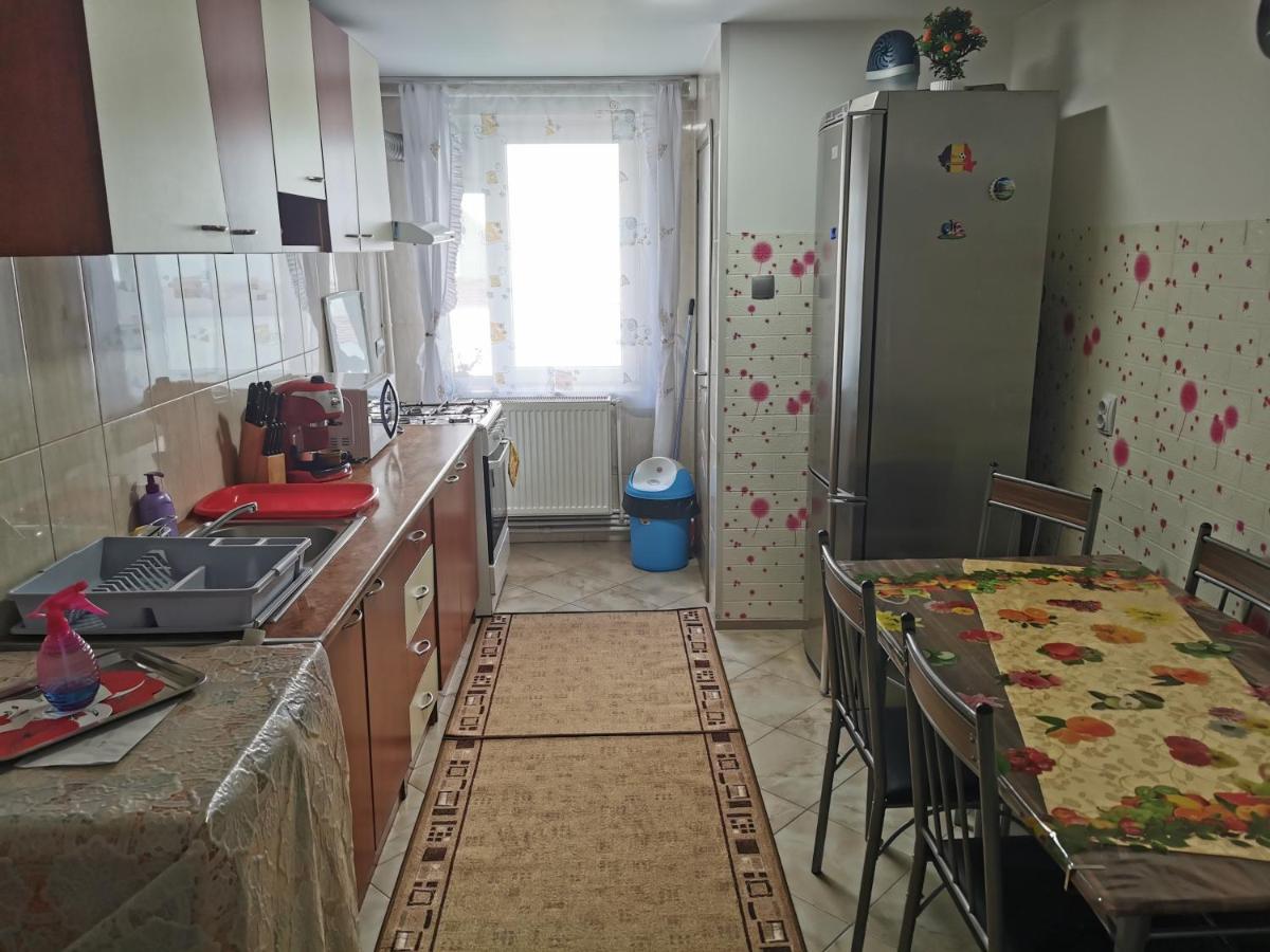 Ferienwohnung Apartament Bucovina Câmpulung Moldovenesc Exterior foto